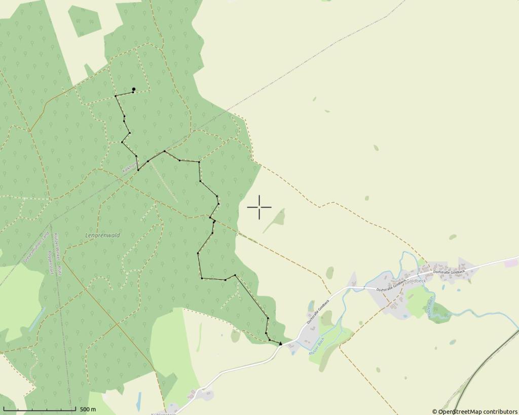 Mai – Nacktwanderung durch den Lenorenwald im Klützer Winkel